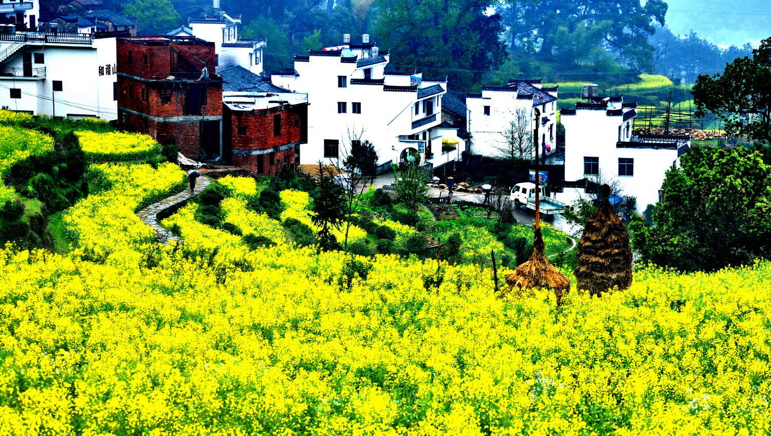 煙花三月去哪玩兒？2017最受歡迎十大古鎮(zhèn)出爐，麗江首脫榜｜美通社頭條