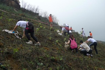 今年逾700人報(bào)名參加，為一幅去年被山火燒去大范圍林木的山坡種植約6,000棵樹苗。